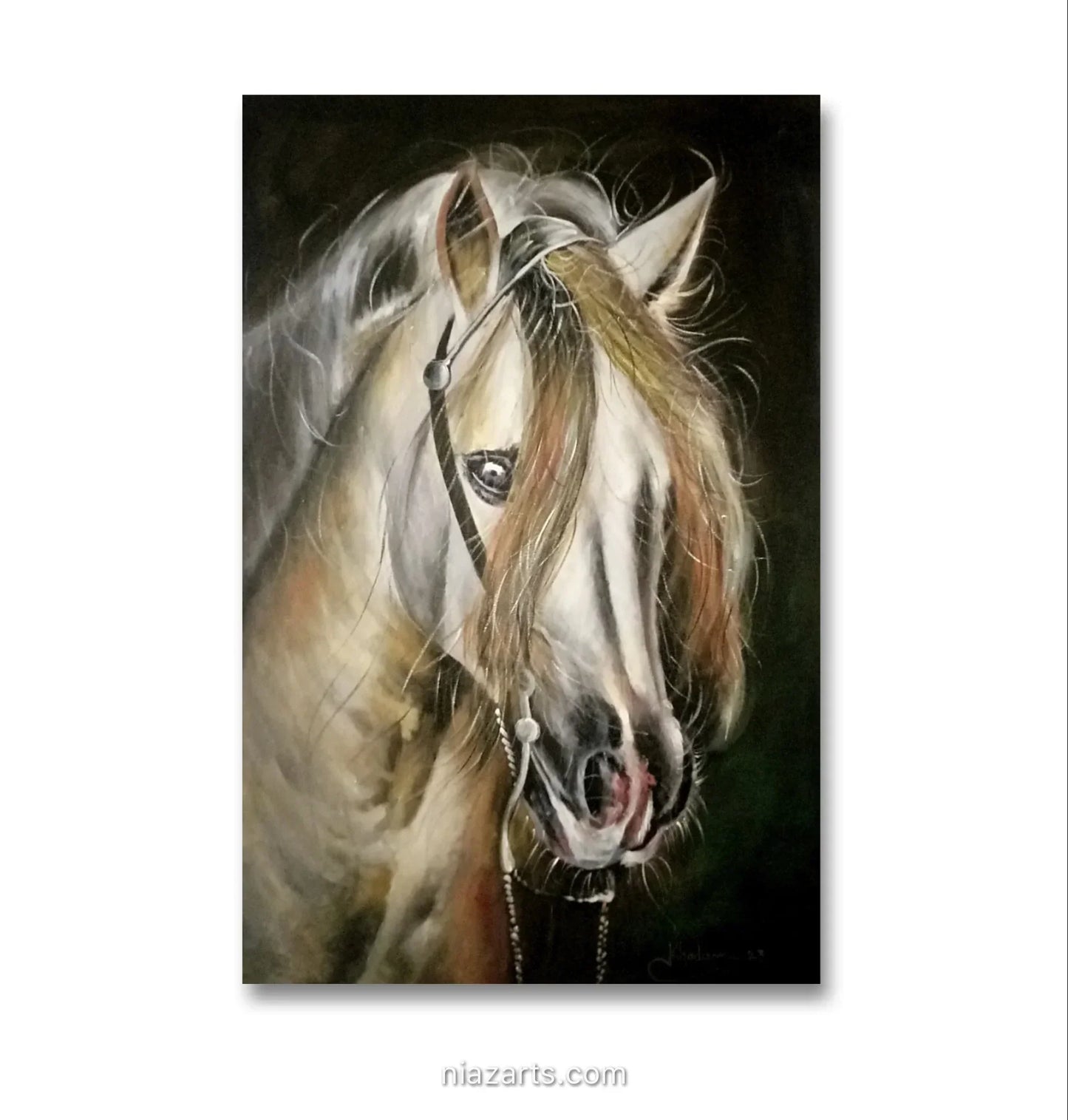 Aesthetic Horse Look - Niaz Arts