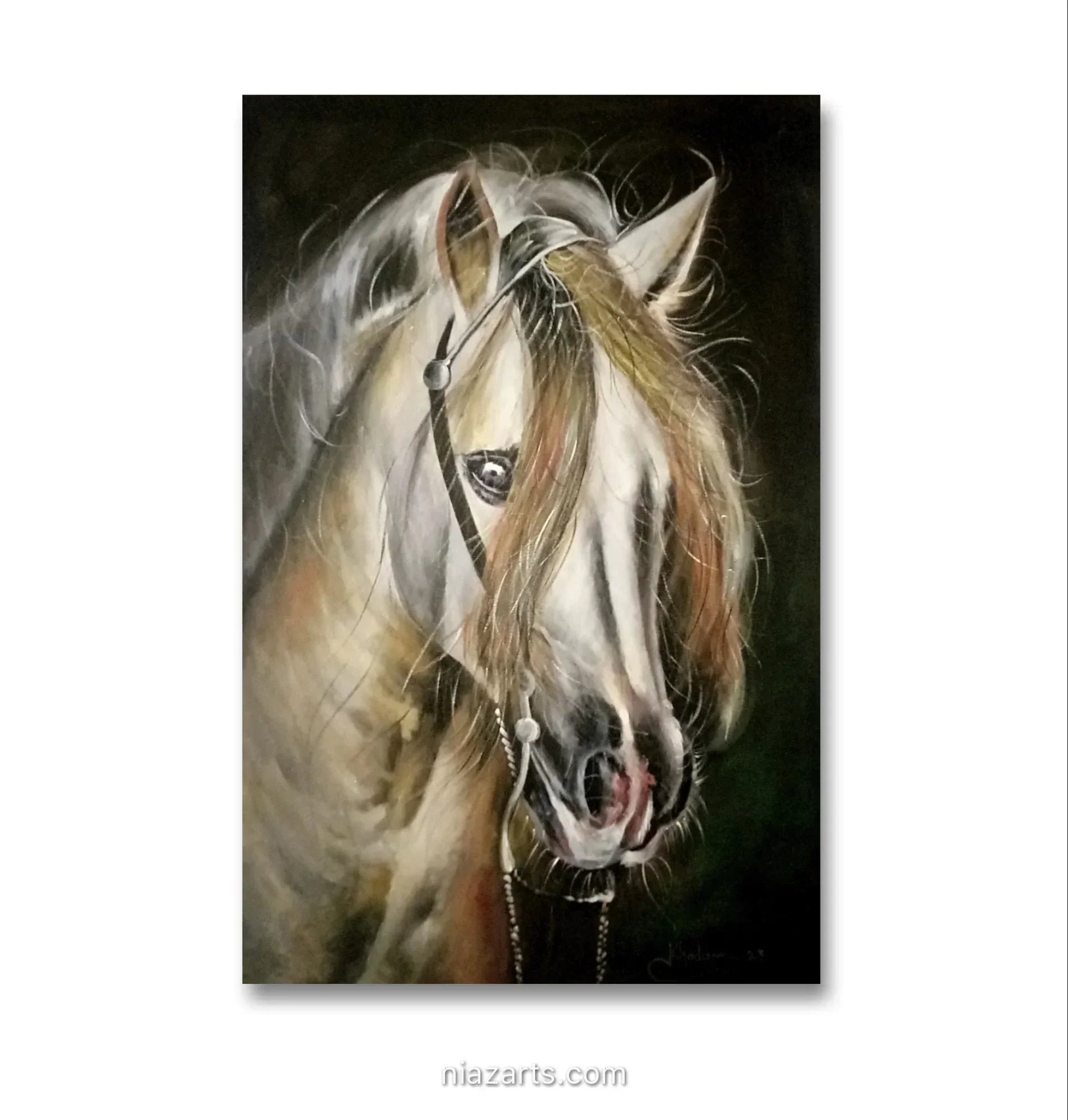 Aesthetic Horse Look - Niaz Arts